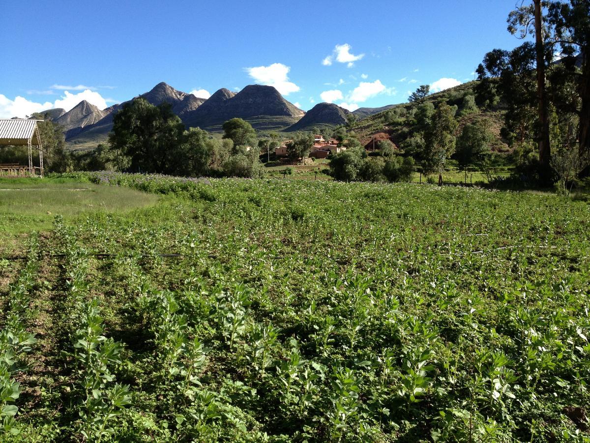 El Molino Acomodação com café da manhã Torotoro Exterior foto