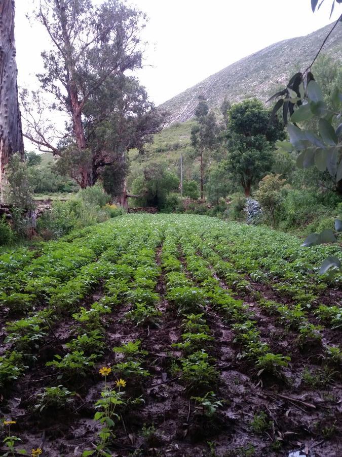 El Molino Acomodação com café da manhã Torotoro Exterior foto